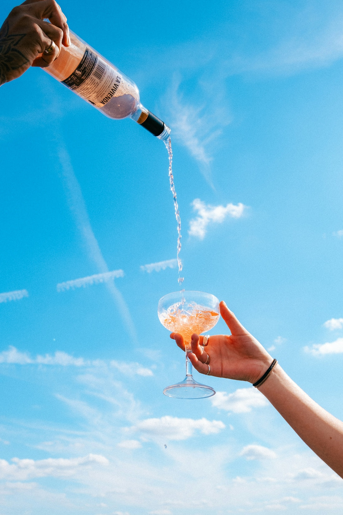 A person holding a wine glass in the air