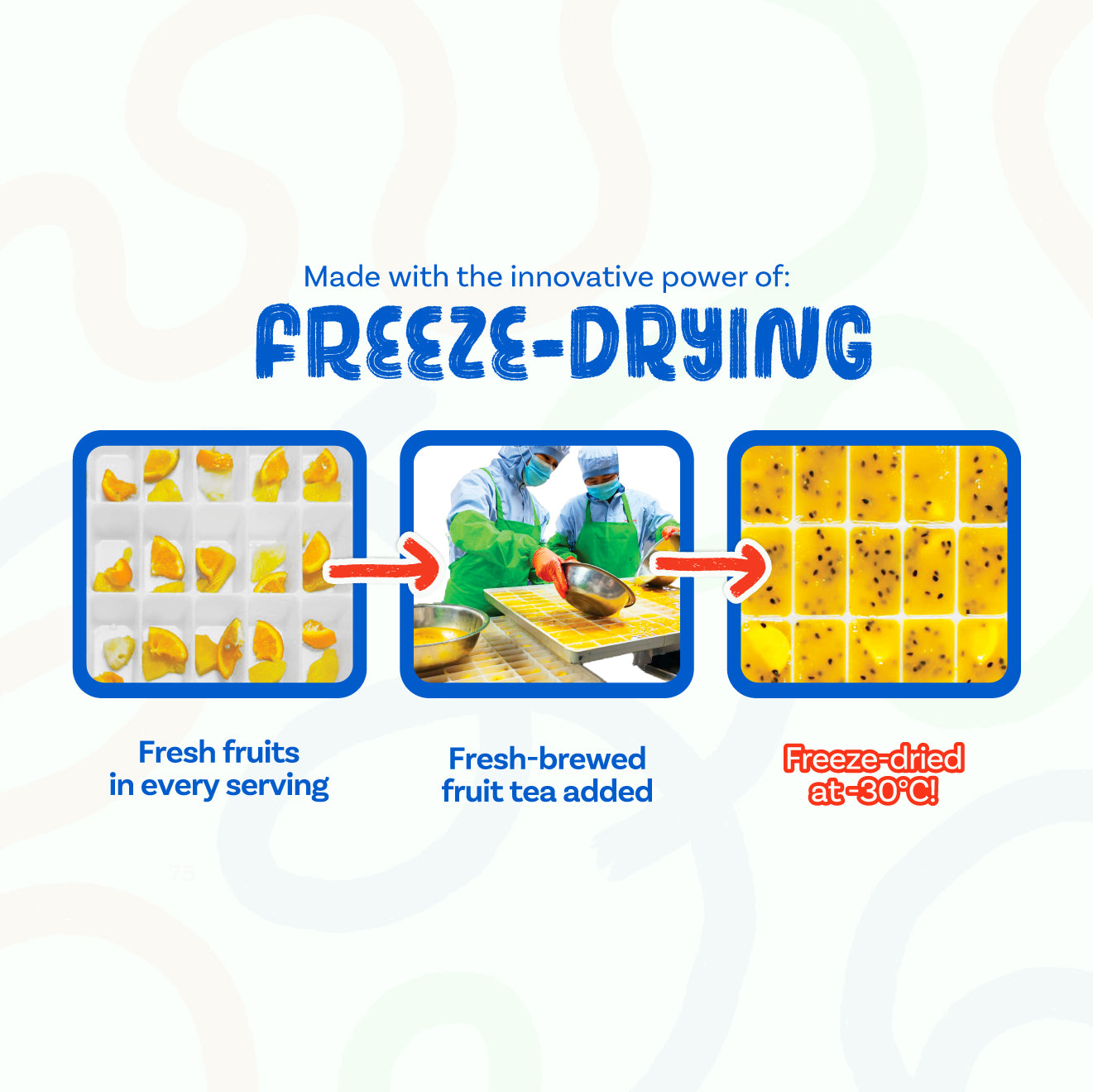 [B1F1] x6 Savings Bundle (Any Flavours) (Total 12 Boxes +1 Free Box)